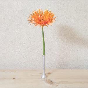 nk_silverhearven_nomal