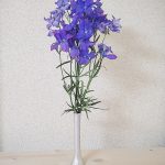 nk_silverhearven_nomal