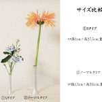 nk_silverhearven_ssize