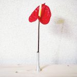 nk_silverhearven_ssize