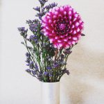 nk_silverhearven_straight