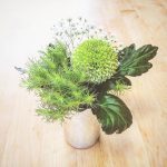 nk_silverhearven_straight